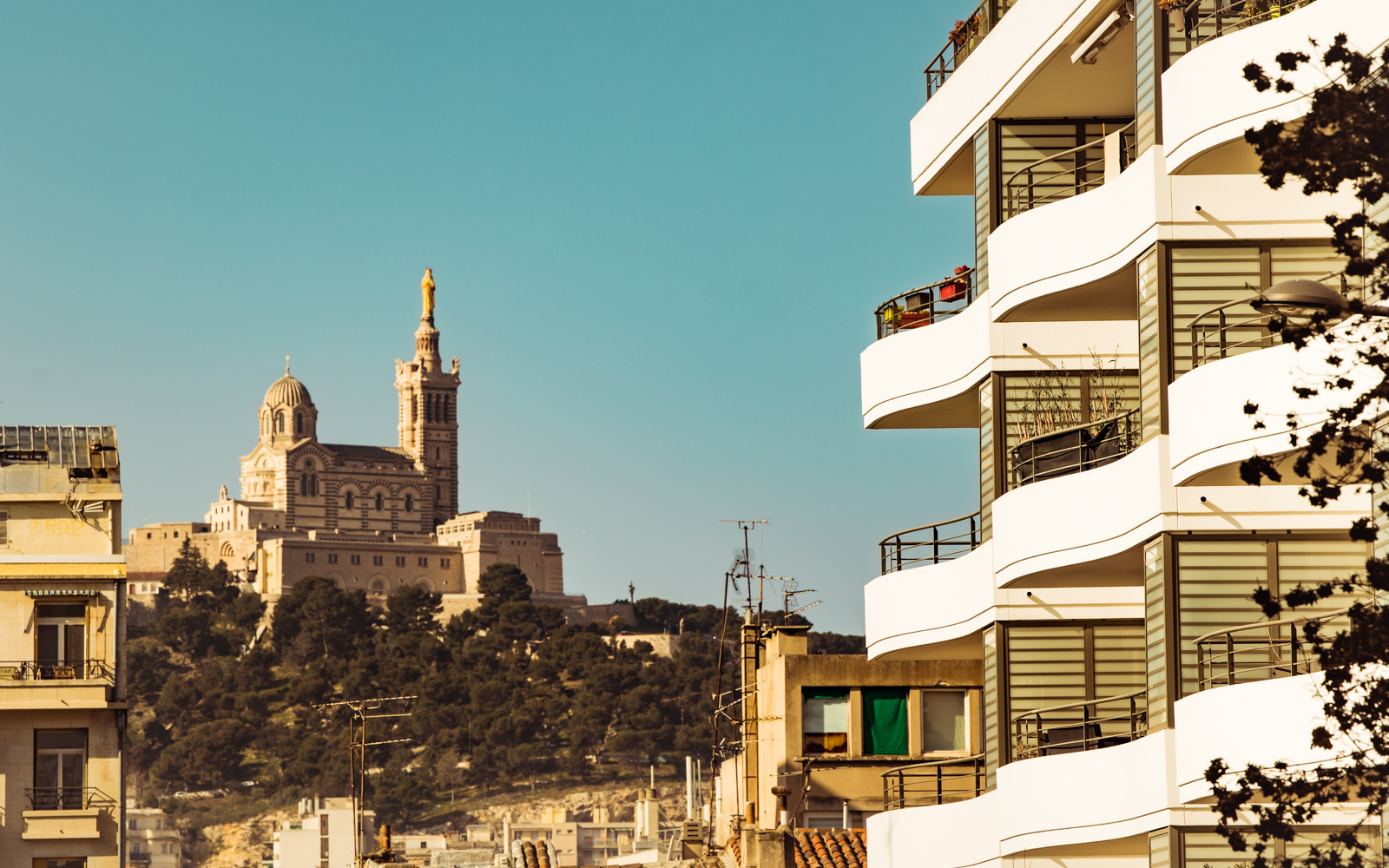 contact immobiliere de la sardine marseille